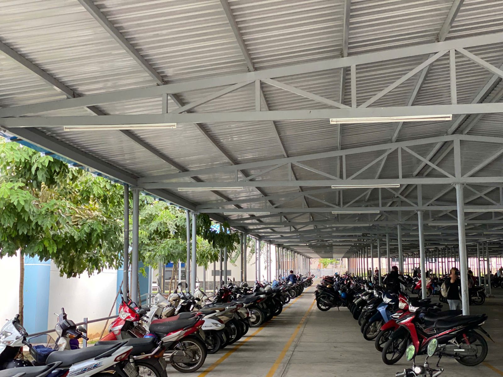 Giữ Xe Giáo Viên Và Nhân Viên Trường Học