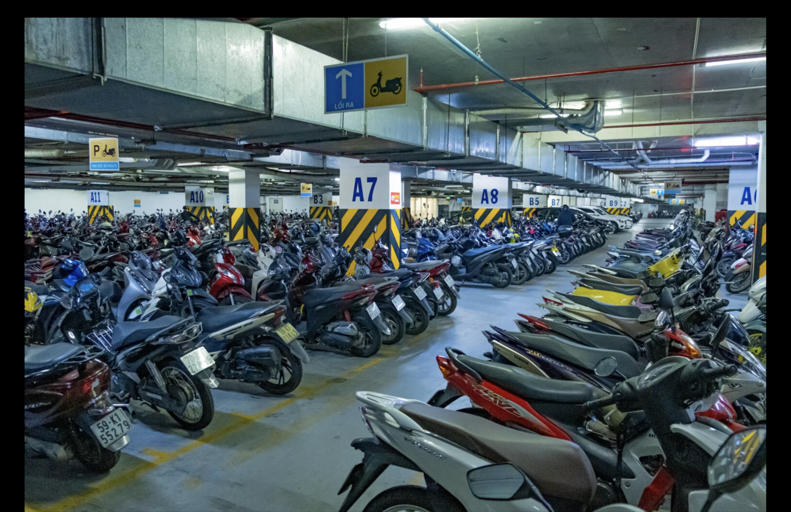 dịch vụ giữ xe 286